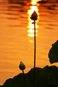 布莱克本喜获胜利，重返胜利轨道