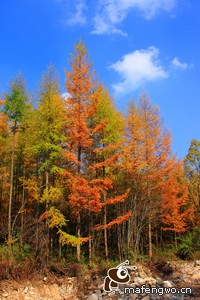 快船惨败尼克斯，遭遇失利之痛