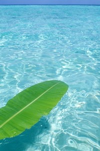 贝尔格莱德红星抢分不易，小组出线形势不佳