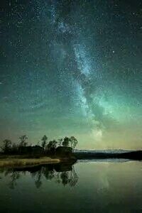 富力胜深圳，逐渐迎头赶上