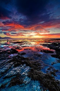 巴黎球员频繁受伤，球队严重亏损