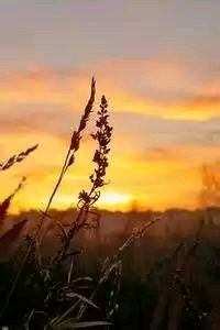 快船惨败尼克斯，遭遇失利之痛