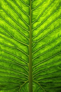 布莱克本喜获胜利，重返胜利轨道